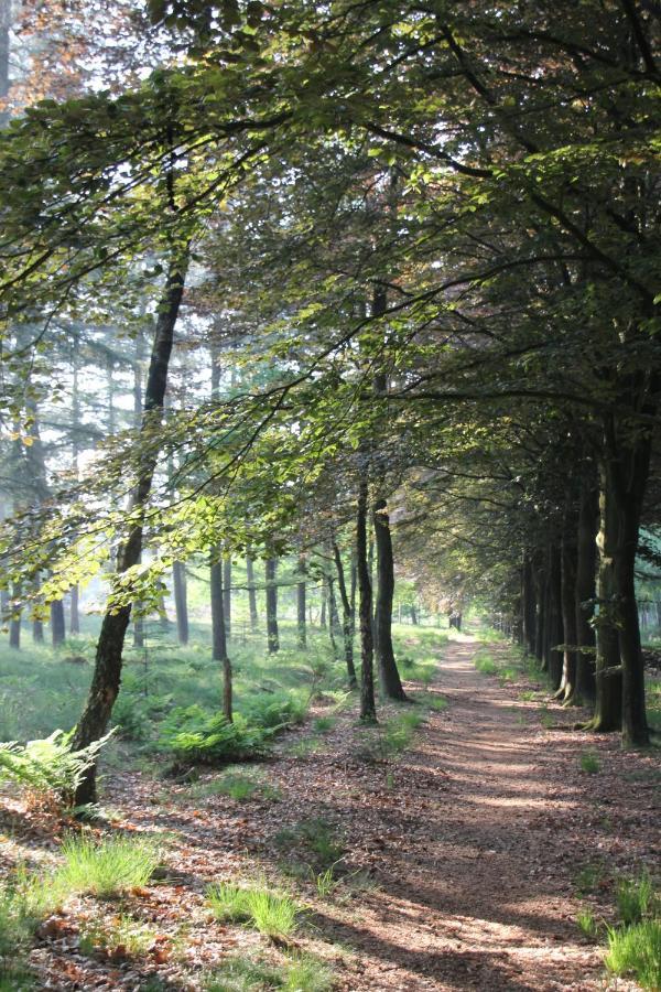 Inn The Woods - Private Stay Overberg Exterior foto
